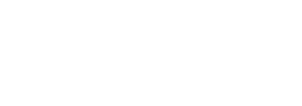 Virtual Chief Information Security Officer