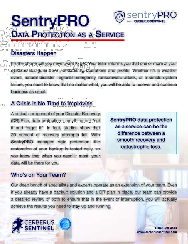 SentryPRO – Service Overview