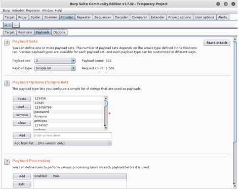 brute forcing payload set field