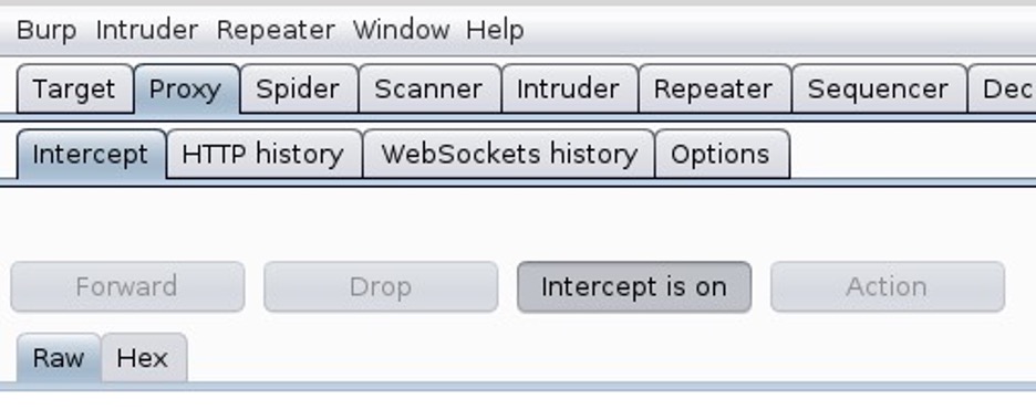 brute forcing Proxy tab