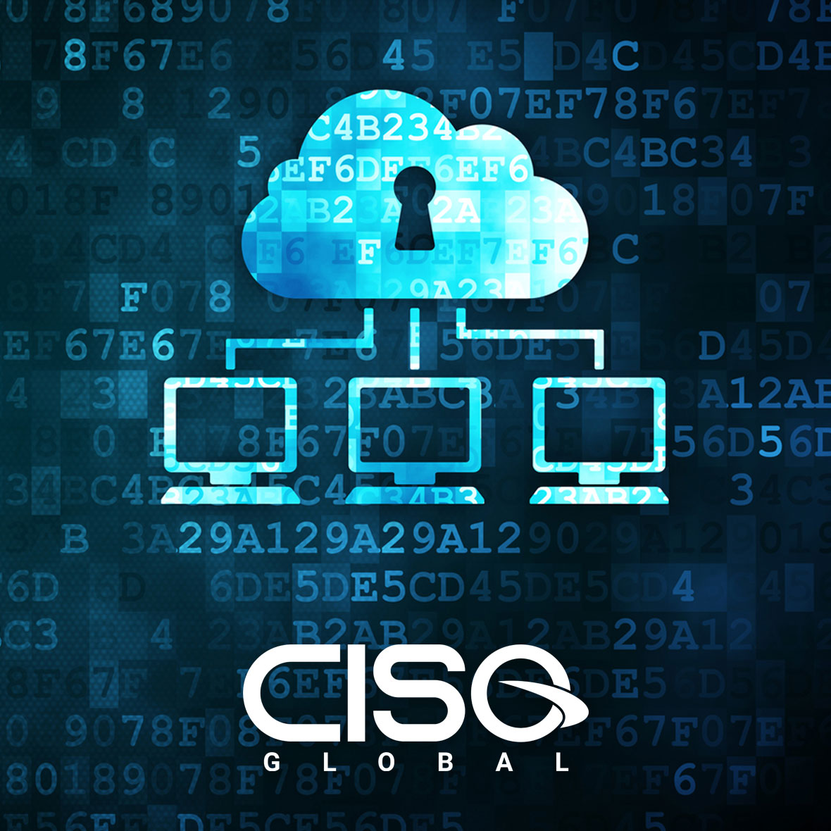 Data Protection as a Service (DPaaS)