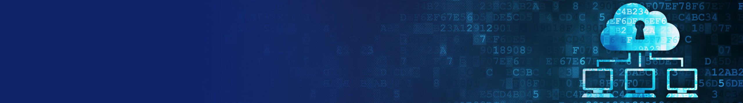 Data Protection as a Service