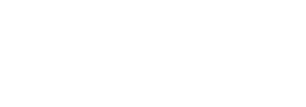 Cyber Insurance