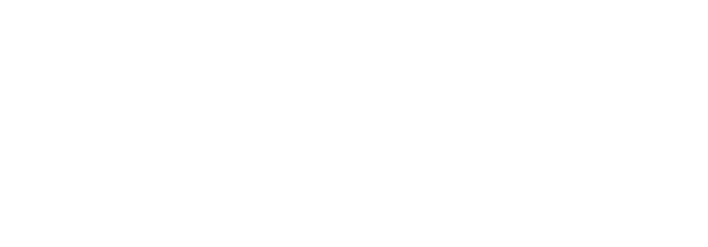 Penetration Testing