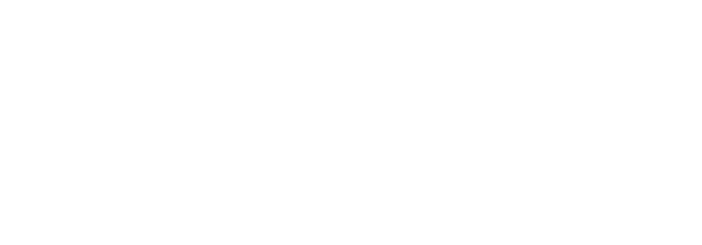 Security Architecture & Engineering Solutions Card