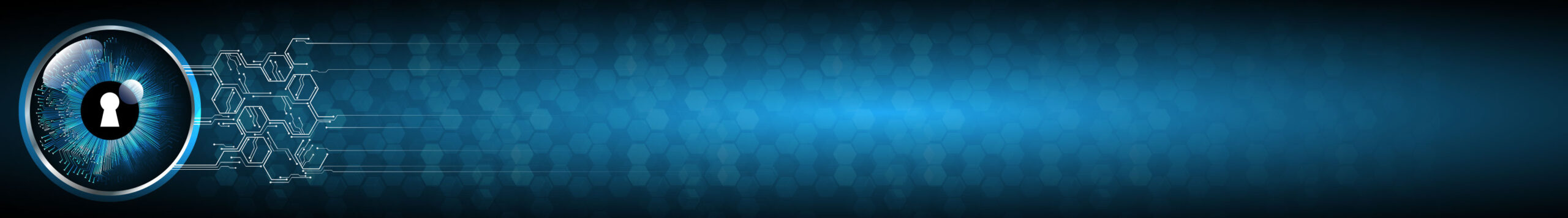 Custom Security Awareness Training