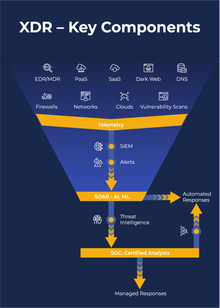 XDR Key Components Infographic